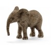 بچه فیل اشلایش 14763